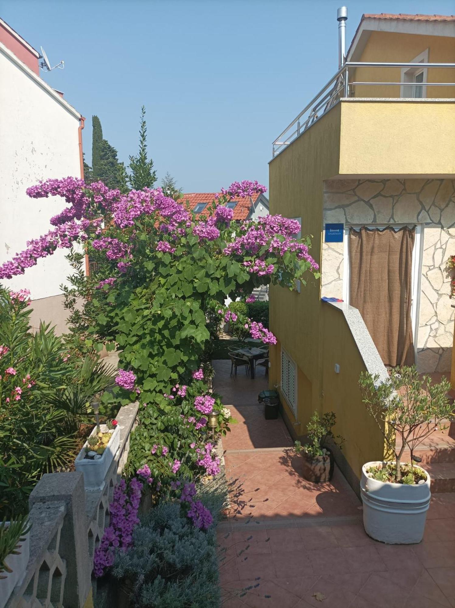 Apartmani Grguric Kornić Exteriér fotografie
