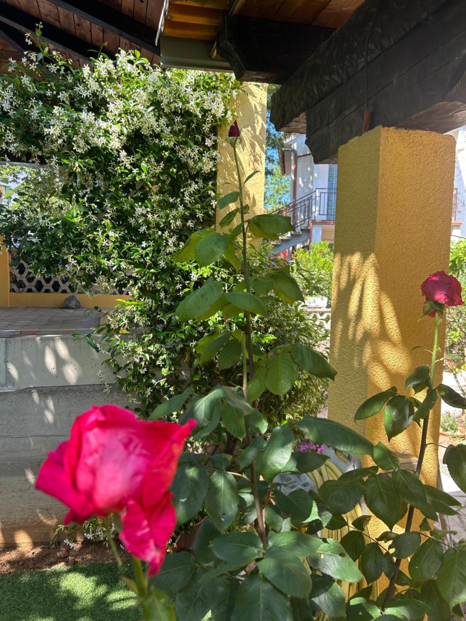 Apartmani Grguric Kornić Exteriér fotografie